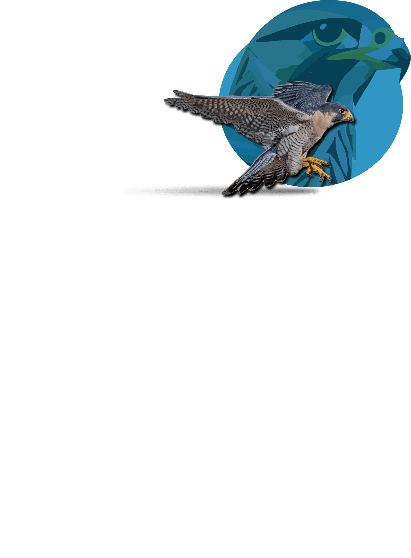 imagen de halcon volando con logo de halcon en color azul de fondo